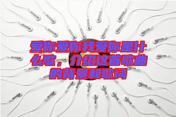 愛你愛你我愛你是什么歌，介紹這首歌曲的背景和歌詞
