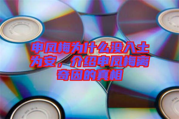 申鳳梅為什么沒入土為安，介紹申鳳梅離奇因的真相