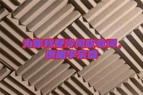 為你我受冷風吹歌詞，原唱李宗盛