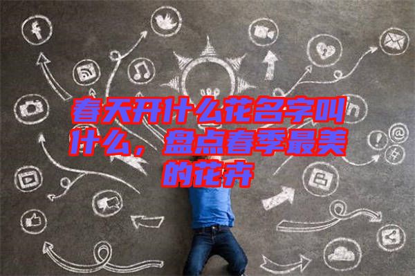 春天開什么花名字叫什么，盤點(diǎn)春季最美的花卉