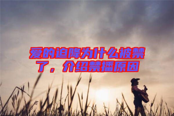 愛(ài)的迫降為什么被禁了，介紹禁播原因