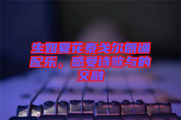 生如夏花泰戈?duì)柪收b配樂(lè)，感受詩(shī)歌與的交融