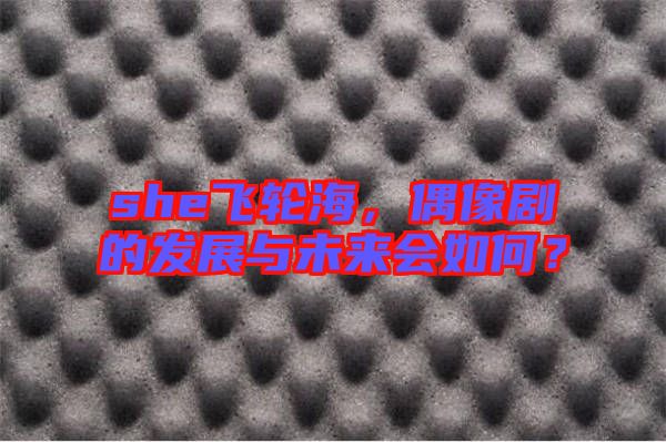 she飛輪海，偶像劇的發(fā)展與未來會如何？