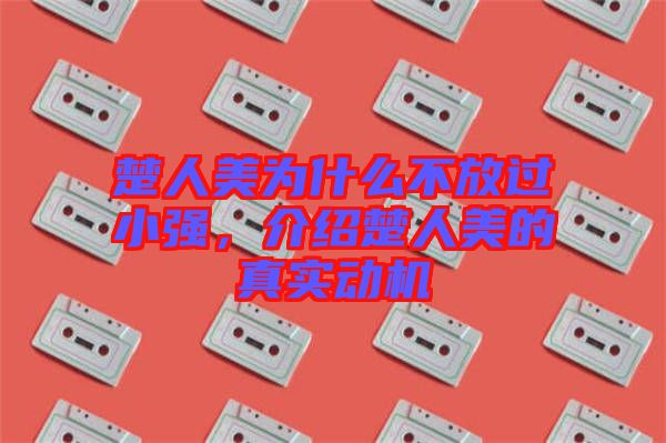 楚人美為什么不放過小強，介紹楚人美的真實動機