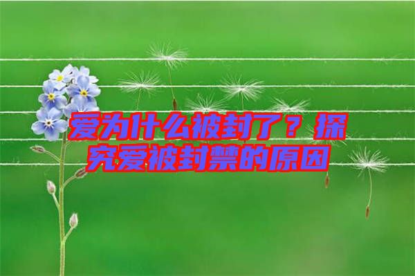 愛為什么被封了？探究愛被封禁的原因