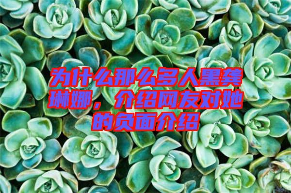 為什么那么多人黑龔琳娜，介紹網(wǎng)友對她的負(fù)面介紹