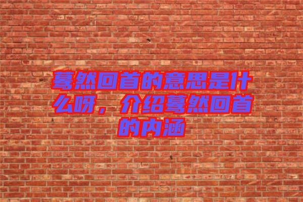 驀然回首的意思是什么呀，介紹驀然回首的內(nèi)涵