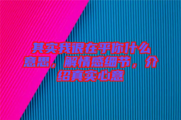 其實(shí)我很在乎你什么意思，解情感細(xì)節(jié)，介紹真實(shí)心意