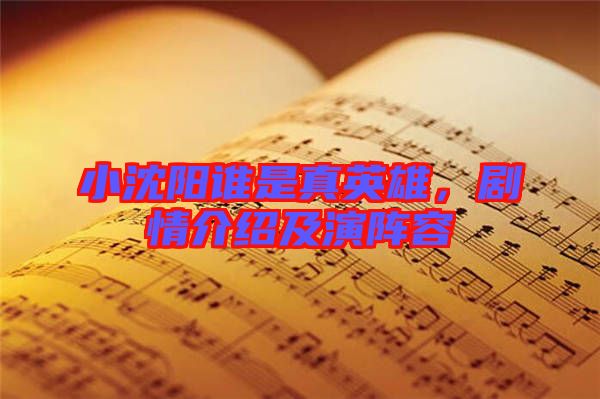 小沈陽誰是真英雄，劇情介紹及演陣容