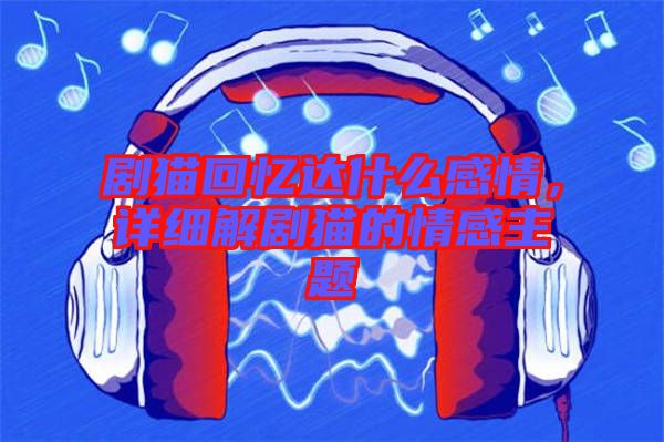 劇貓回憶達什么感情，詳細解劇貓的情感主題