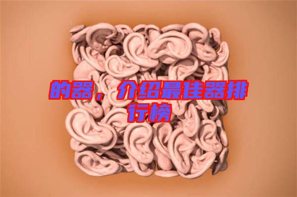 的器，介紹最佳器排行榜