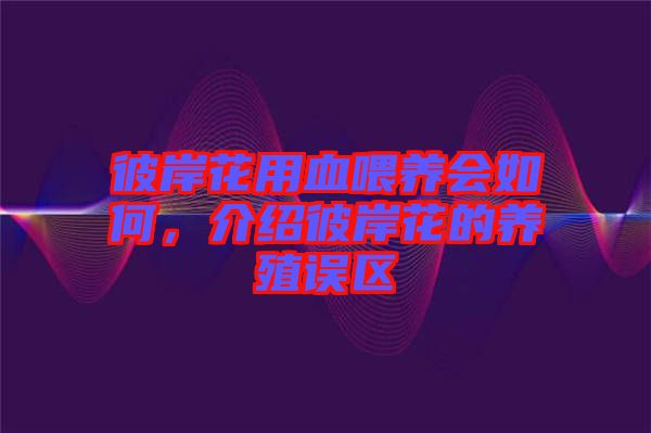 彼岸花用血喂養(yǎng)會如何，介紹彼岸花的養(yǎng)殖誤區(qū)