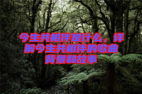 今生共相伴是什么，詳解今生共相伴的歌曲背景和故事