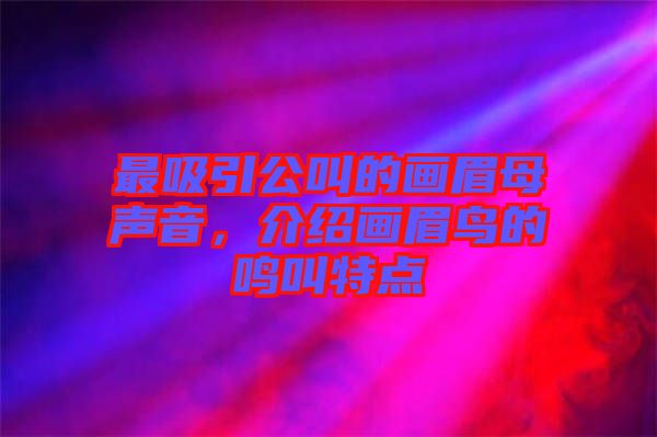 最吸引公叫的畫眉母聲音，介紹畫眉鳥的鳴叫特點(diǎn)