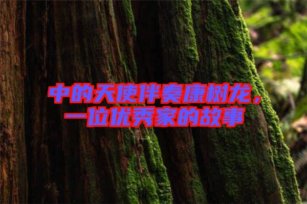 中的天使伴奏康樹龍，一位優(yōu)秀家的故事