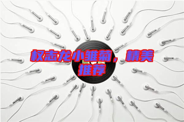 權志龍小雛菊，精美推薦