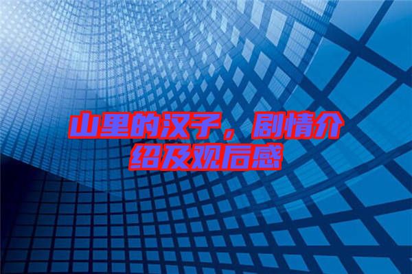 山里的漢子，劇情介紹及觀后感