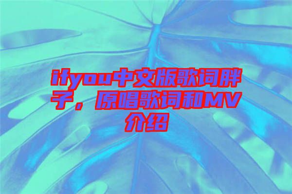 ifyou中文版歌詞胖子，原唱歌詞和MV介紹