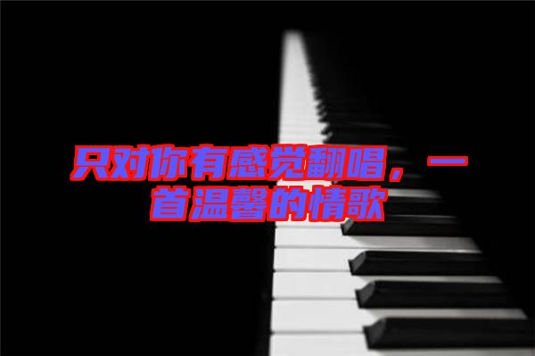 只對你有感覺翻唱，一首溫馨的情歌