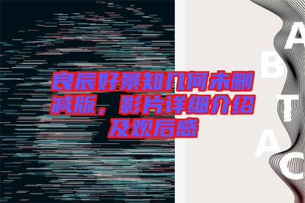 良辰好景知幾何未刪減版，影片詳細(xì)介紹及觀后感