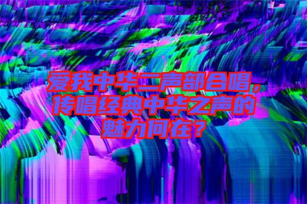 愛我中華二聲部合唱，傳唱經(jīng)典中華之聲的魅力何在？