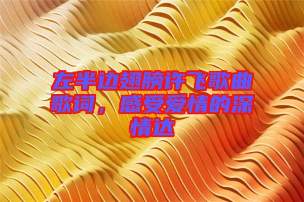 左半邊翅膀許飛歌曲歌詞，感受愛情的深情達(dá)