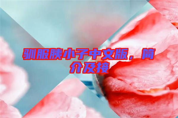 馴服胰小子中文版，簡介及接