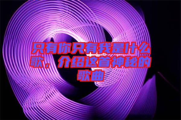 只有你只有我是什么歌，介紹這首神秘的歌曲
