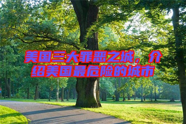 美國三大罪惡之城，介紹美國最危險(xiǎn)的城市
