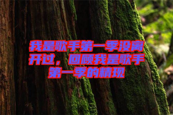 我是歌手第一季沒離開過，回顧我是歌手第一季的精現(xiàn)