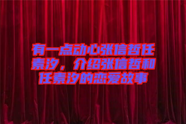 有一點(diǎn)動(dòng)心張信哲任素汐，介紹張信哲和任素汐的戀愛故事