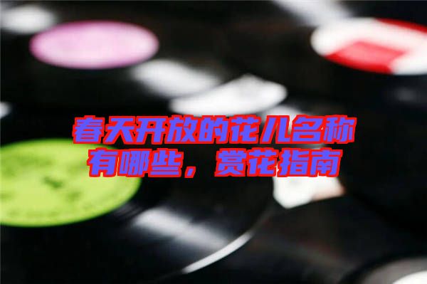 春天開放的花兒名稱有哪些，賞花指南