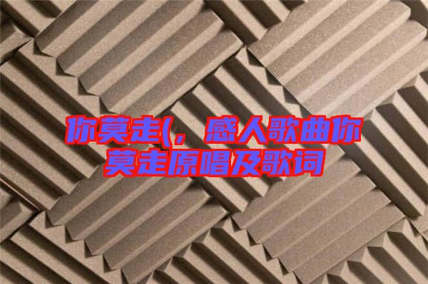 你莫走(，感人歌曲你莫走原唱及歌詞