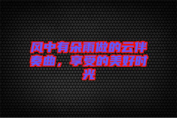 風(fēng)中有朵雨做的云伴奏曲，享受的美好時(shí)光