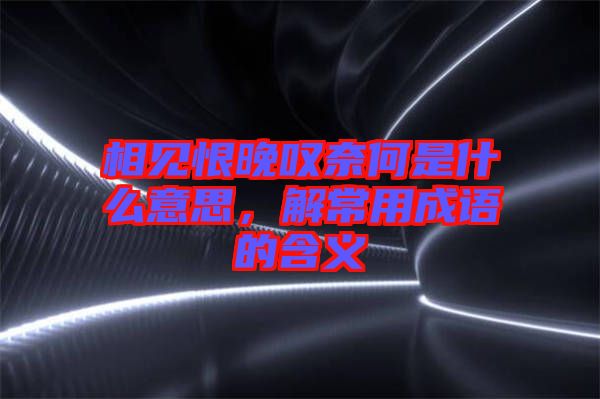 相見恨晚嘆奈何是什么意思，解常用成語的含義