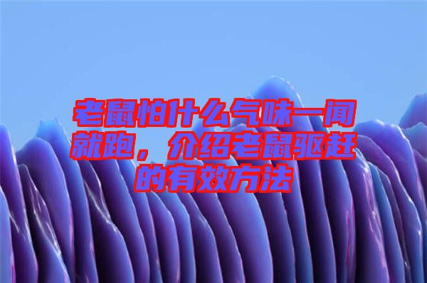 老鼠怕什么氣味一聞就跑，介紹老鼠驅(qū)趕的有效方法