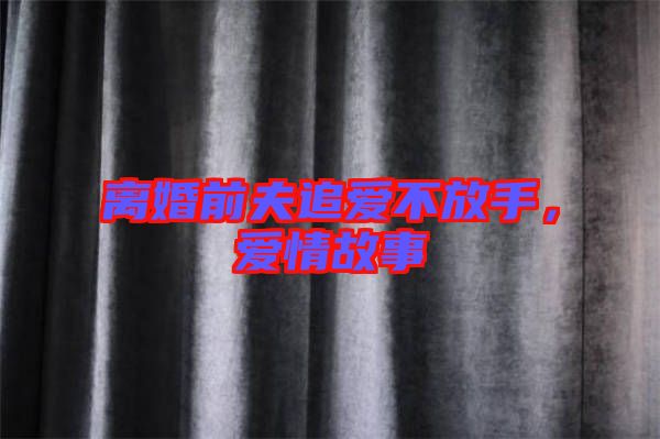 離婚前夫追愛(ài)不放手，愛(ài)情故事