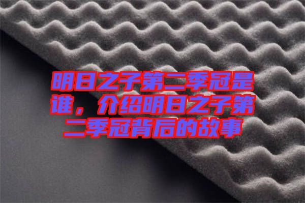 明日之子第二季冠是誰(shuí)，介紹明日之子第二季冠背后的故事