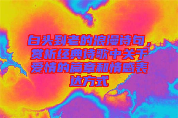 白頭到老的浪漫詩句，賞析經(jīng)典詩歌中關(guān)于愛情的篇章和情感表達(dá)方式