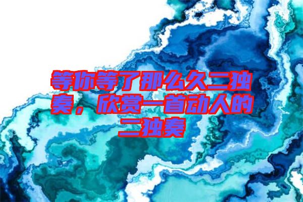 等你等了那么久二獨(dú)奏，欣賞一首動(dòng)人的二獨(dú)奏