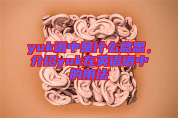 yuk語中是什么意思，介紹yuk在英語語中的用法