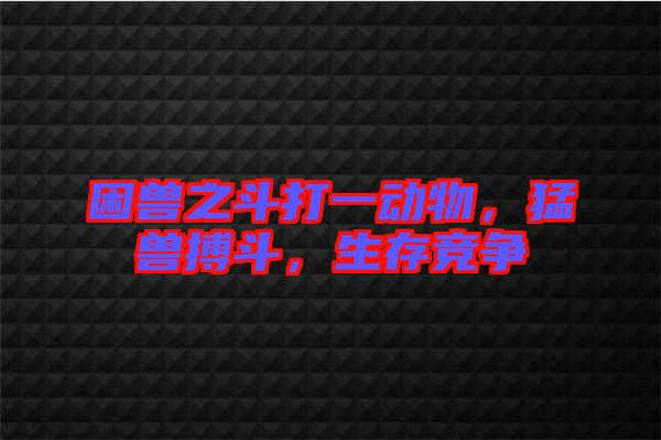 困獸之斗打一動(dòng)物，猛獸搏斗，生存競(jìng)爭(zhēng)