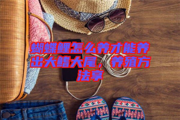蝴蝶鯉怎么養(yǎng)才能養(yǎng)出大鰭大尾，養(yǎng)殖方法享