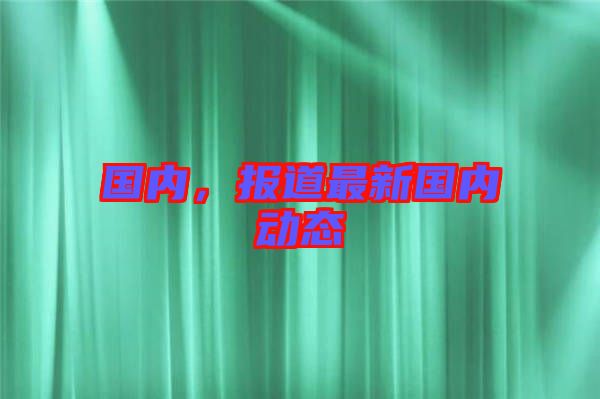 國內(nèi)，報道最新國內(nèi)動態(tài)