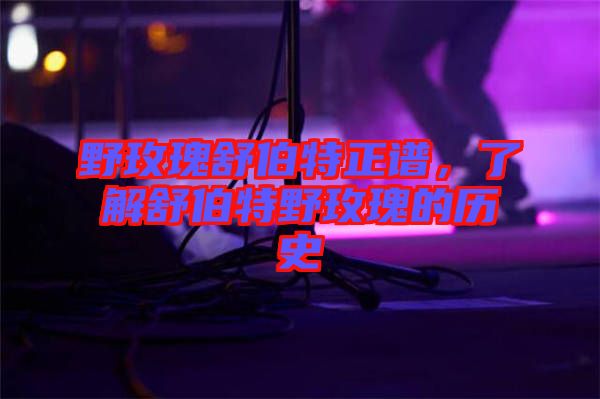 野玫瑰舒伯特正譜，了解舒伯特野玫瑰的歷史