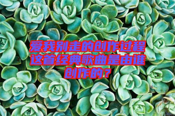 愛我別走的創(chuàng)作過程這首經(jīng)典歌曲是由誰創(chuàng)作的？
