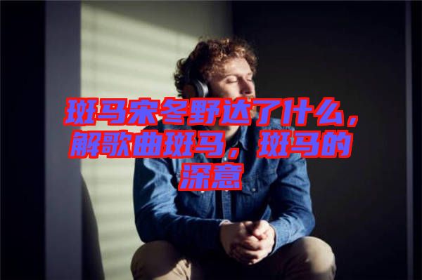 斑馬宋冬野達了什么，解歌曲斑馬，斑馬的深意
