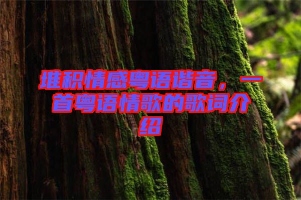 堆積情感粵語諧音，一首粵語情歌的歌詞介紹