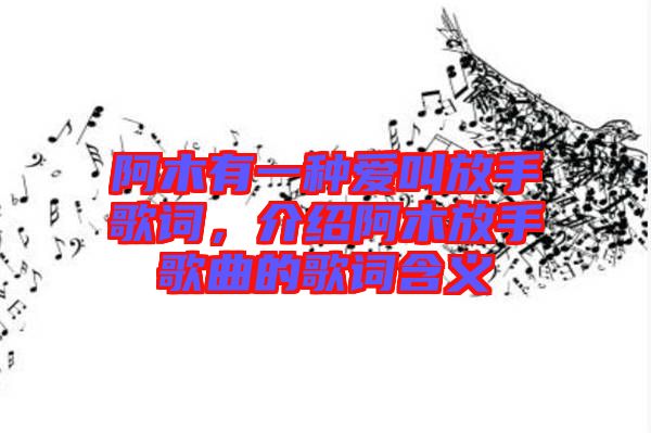 阿木有一種愛叫放手歌詞，介紹阿木放手歌曲的歌詞含義