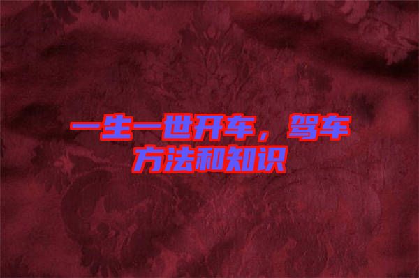 一生一世開車，駕車方法和知識